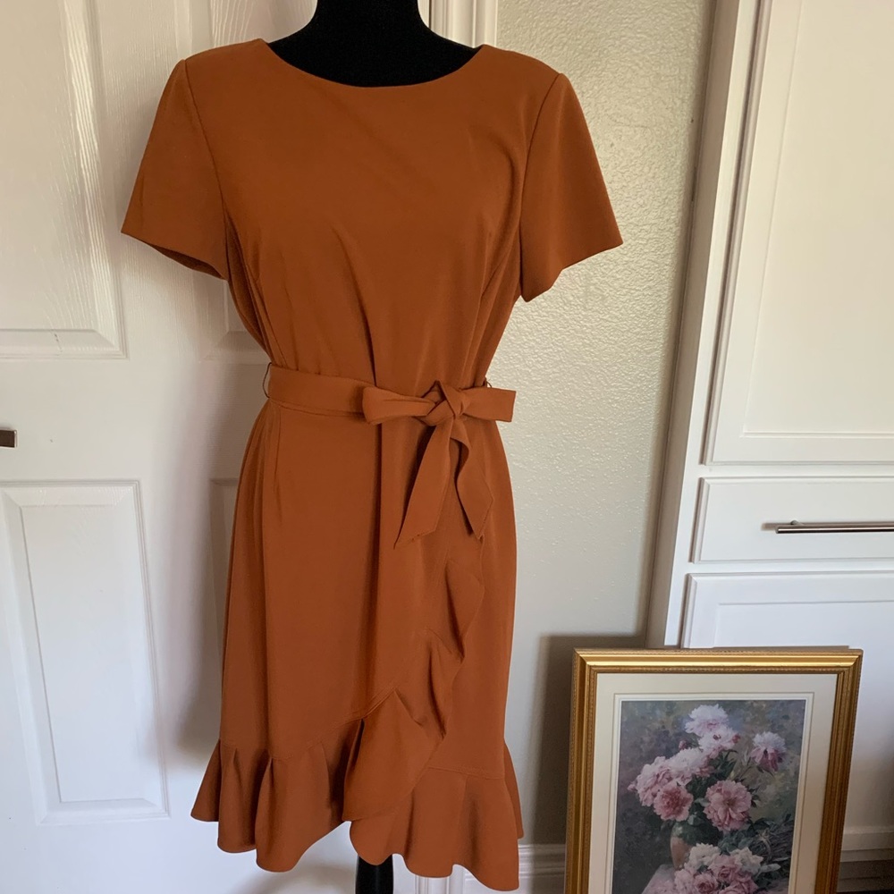 Calvin Klein Rust Dress with Ruffle Hem